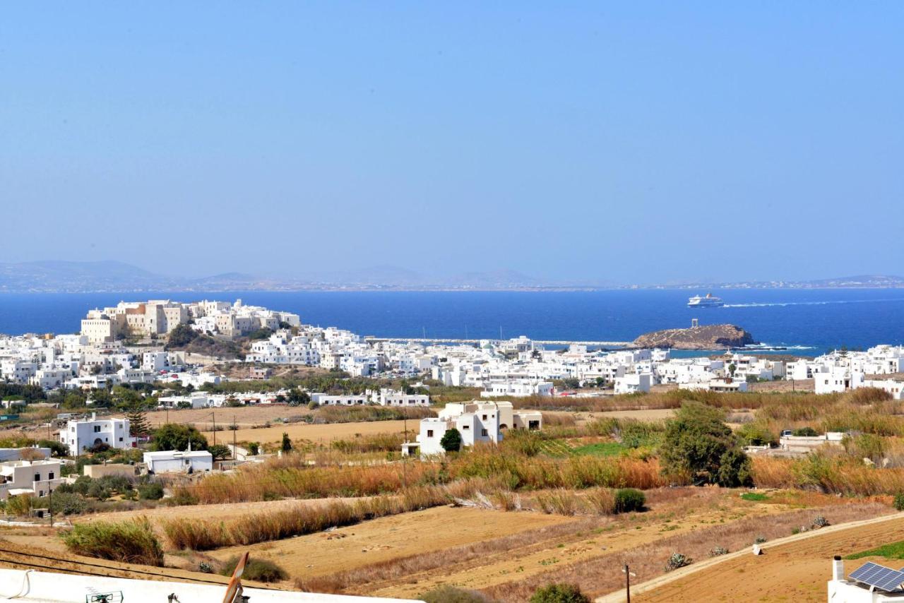 Paradisia Villas Naxos City Exteriör bild