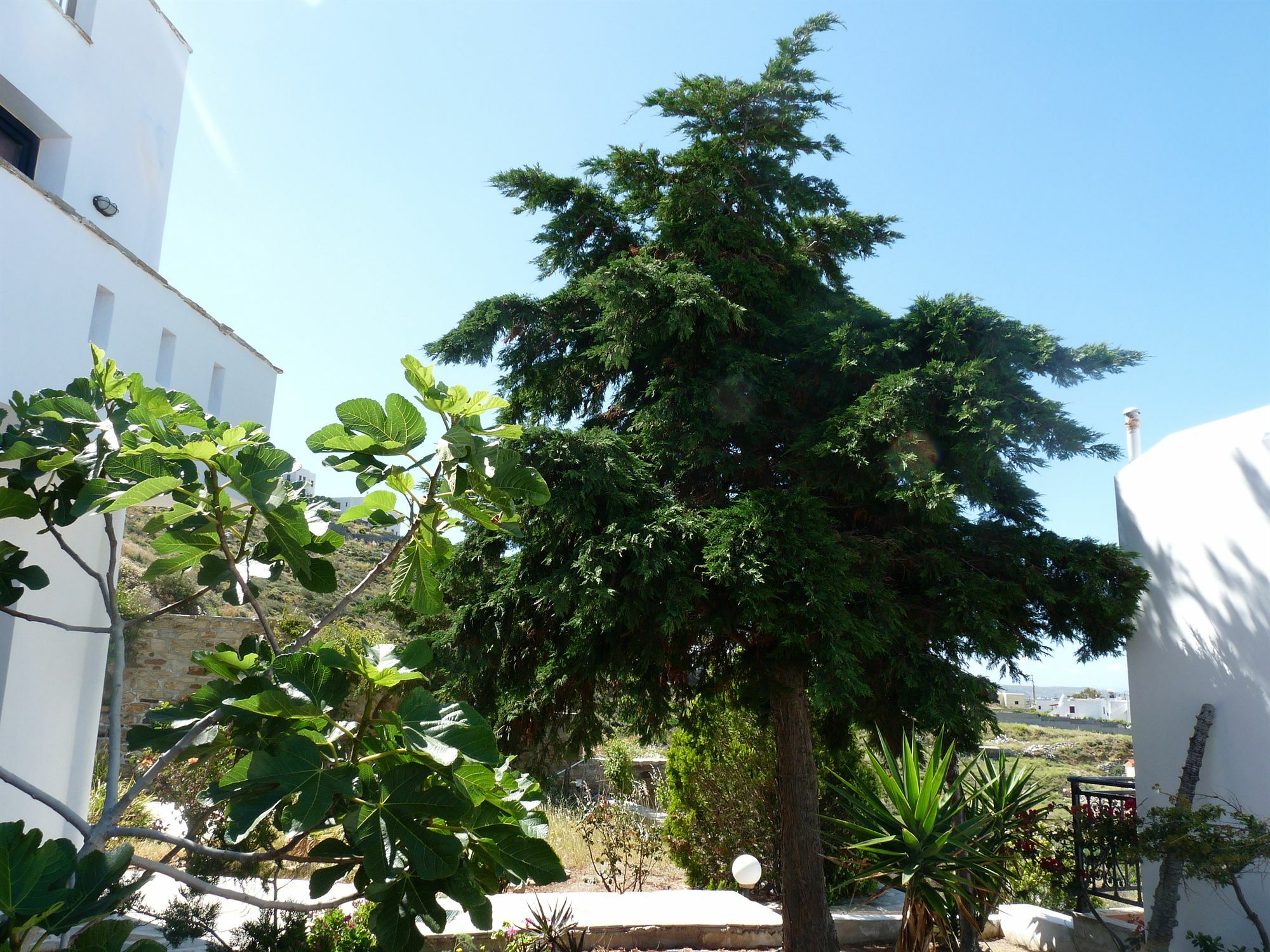 Paradisia Villas Naxos City Exteriör bild
